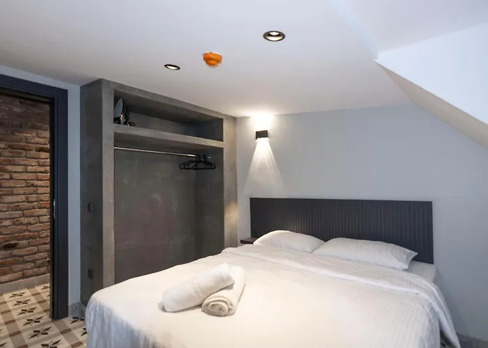 Lovely In Taksim 公寓